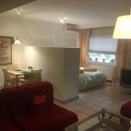 Cozy Garden 700m From St Luke S Hospital Apartment